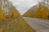 IMGP2587.jpg