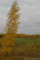 IMGP2588.jpg