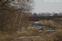 Имя файла=IMGP3952.jpg
Размер файла=423КБ
Размеры=1000x665
Дата=Апр 20, 2013 IMGP3952.jpg