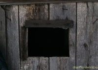 IMGP7720.jpg