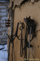 IMGP7723.jpg