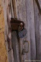 IMGP7726.jpg