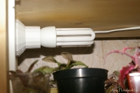 IMGP8865.jpg