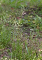 IMGP9349.jpg
