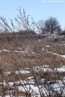 Имя файла=IMG_0107.jpg
Размер файла=457КБ
Размеры=667x1000
Дата=Март 10, 2014 IMG_0107.jpg