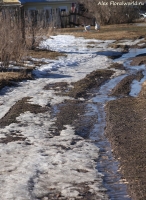 Имя файла=IMG_0113.jpg
Размер файла=440КБ
Размеры=731x1000
Дата=Март 10, 2014 IMG_0113.jpg