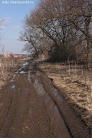Имя файла=IMG_0157.jpg
Размер файла=481КБ
Размеры=667x1000
Дата=Март 11, 2014 IMG_0157.jpg