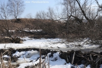 Имя файла=IMG_0171.jpg
Размер файла=467КБ
Размеры=1000x667
Дата=Март 11, 2014 IMG_0171.jpg