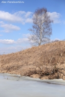 Имя файла=IMG_0182.jpg
Размер файла=333КБ
Размеры=667x1000
Дата=Март 11, 2014 IMG_0182.jpg