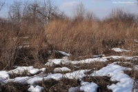 Имя файла=IMG_0220.jpg
Размер файла=1151КБ
Размеры=1500x1000
Дата=Март 11, 2014 IMG_0220.jpg