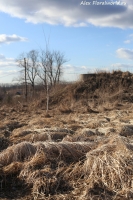 Имя файла=IMG_0420.jpg
Размер файла=378КБ
Размеры=667x1000
Дата=Март 13, 2014 IMG_0420.jpg