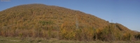 IMG_1050.jpg
