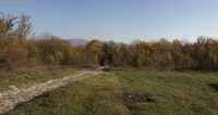 IMG_1058.jpg
