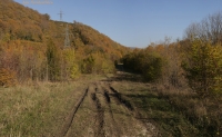 IMG_1063.jpg