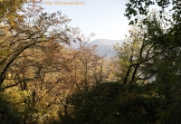 IMG_1094~0.jpg