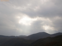 IMG_1200.jpg