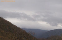 IMG_1212.jpg