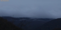 IMG_1242.jpg
