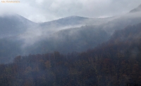IMG_1265.jpg