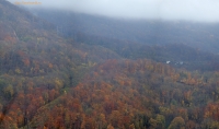 IMG_1296.jpg