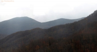 IMG_1309.jpg