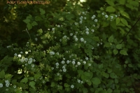 IMG_2126~1.jpg