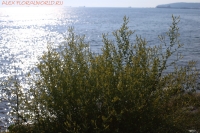 Имя файла=IMG_2564.jpg
Размер файла=1004КБ
Размеры=1500x1000
Дата=Июнь 19, 2020 IMG_2564.jpg