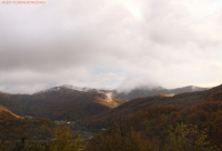 Имя файла=IMG_4214-Panorama.jpg
Размер файла=999КБ
Размеры=2500x1712
Дата=Нояб 22, 2020 IMG_4214-Panorama.jpg