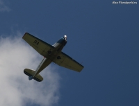 IMG_5331.jpg