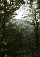 IMG_6769.jpg