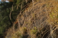 IMG_6943~0.jpg