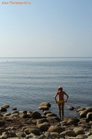 IMG_7400.jpg