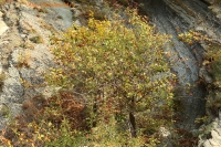 IMG_7580.jpg