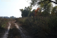 Имя файла=IMG_7914.jpg
Размер файла=906КБ
Размеры=1500x1000
Дата=Сент 25, 2014 IMG_7914.jpg