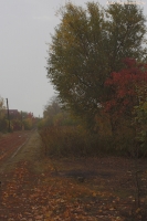 IMG_8131.jpg