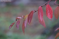 IMG_8192.jpg