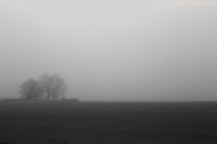 IMG_8838.jpg
