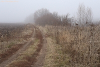 IMG_8840.jpg