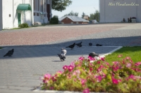 Имя файла=Kolomna_19.jpg
Размер файла=180КБ
Размеры=900x602
Дата=Сент 01, 2008 Kolomna_19.jpg