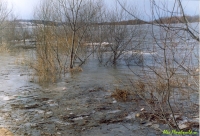 Имя файла=Ledok.jpg
Размер файла=191КБ
Размеры=900x616
Дата=Дек 23, 2007 Ledok.jpg