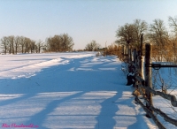 Имя файла=Moroz_2.jpg
Размер файла=135КБ
Размеры=750x550
Дата=Дек 25, 2007 Moroz_2.jpg