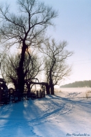 Имя файла=Moroz_4.jpg
Размер файла=218КБ
Размеры=599x900
Дата=Дек 25, 2007 Moroz_4.jpg