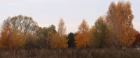Pan_10_14_215.jpg