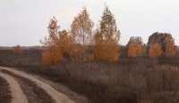 Pan_10_14_225.jpg