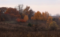 Pan_10_14_285.jpg