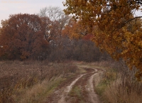 Pan_10_14_515.jpg
