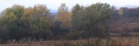 Pan_11_14_85.jpg