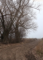 Pan_11_2014_15.jpg