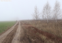 Pan_11_2014_19.jpg