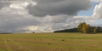 Pan_1_10_2010.jpg